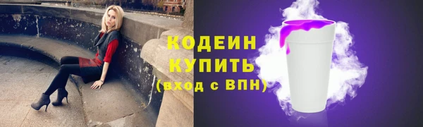индика Надым