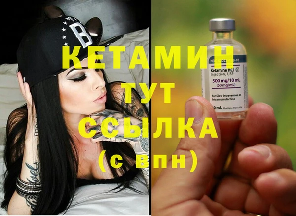 индика Надым