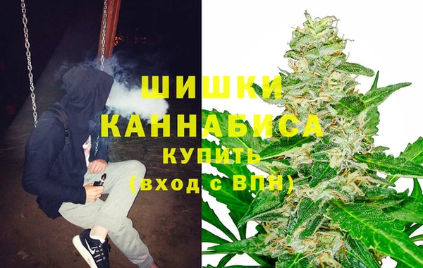 ГАЛЛЮЦИНОГЕННЫЕ ГРИБЫ Абинск